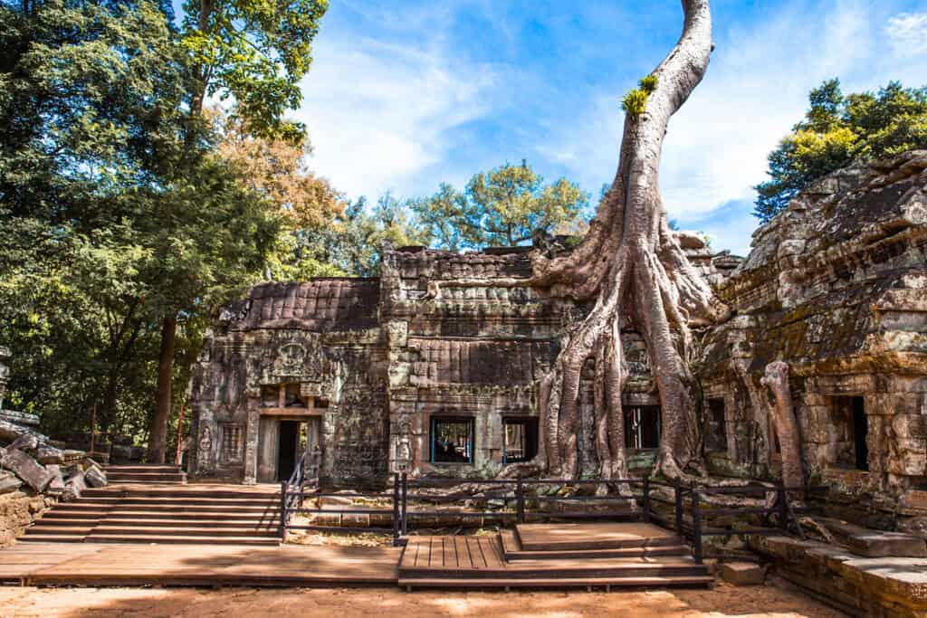 A temple at Angkor Wat in Cambodia with a tree growing on top of it.